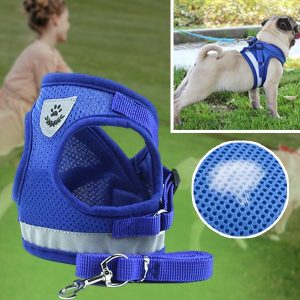 Justerbar reflekterende sele og line til kæledyr | LEASHNGO