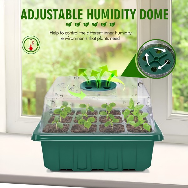 PLANTURKA mikrogrønt